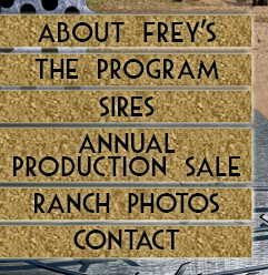 Frey Angus Ranch